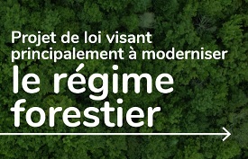 Depot du projet de loi