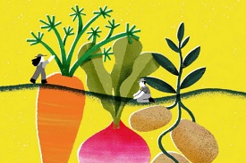 Mutualiser en alimentation2