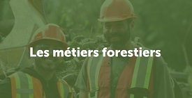 Metiers forestiers
